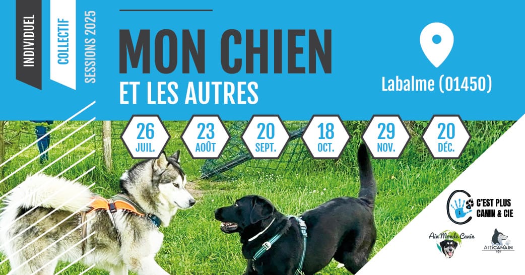 1_bandeau-evenement-facebook-mon-chien-et-les-autres-CEST-PLUS-CANIN-JUIL-SEPT-2025 bandeau-evenement-facebook-cani-socia-MARS-AVR-2023