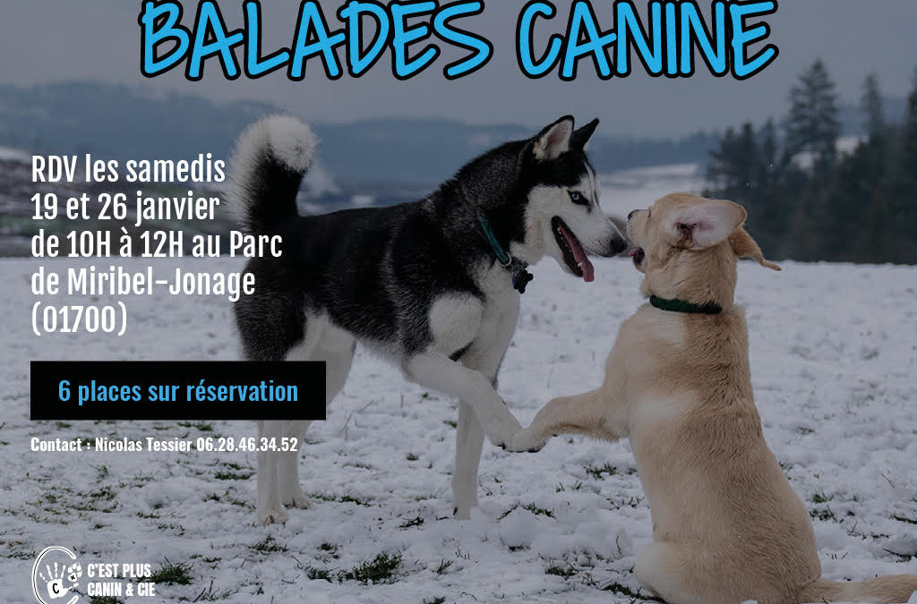 Balades Canine Miribel-Jonage
