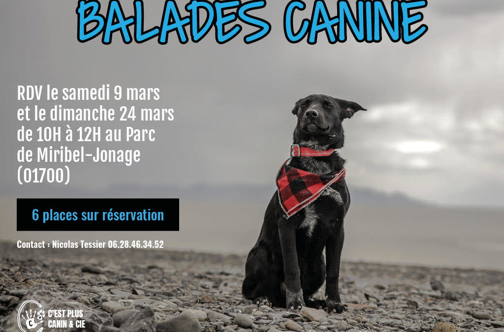 Balades Canine Miribel-Jonage