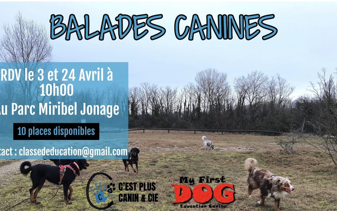 Balades Canines Miribel Avril 2022