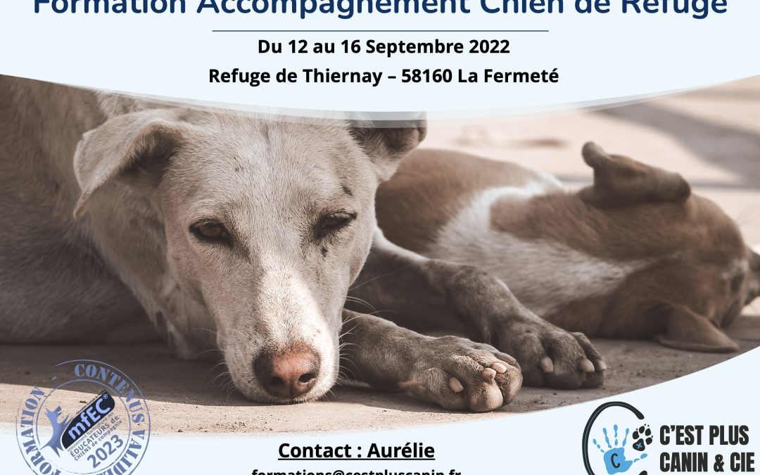 Accompagnement Chien de Refuge – Du 12 Septembre au 16 Septembre 2022